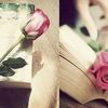 randa_alsaleh